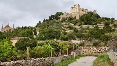 Traslados minibus Mallorca