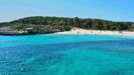 Minibus transfers in Majorca