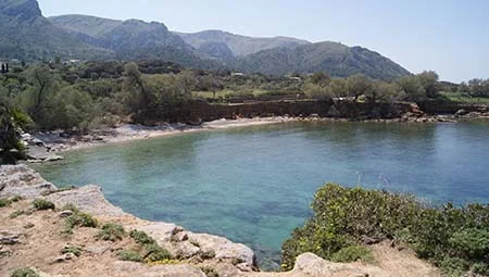 Minibus transfers in Majorca